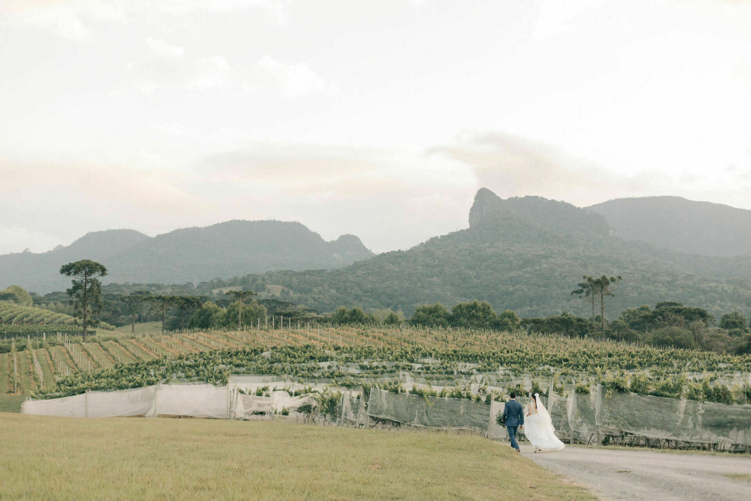 Foto de Dois Emmes Fotografia 0