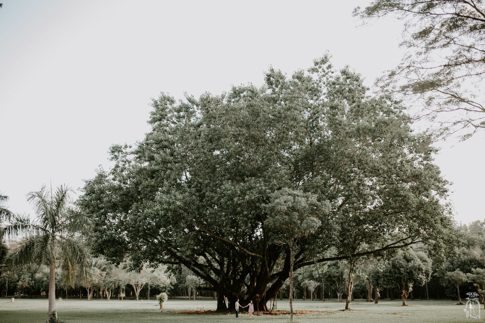 Foto Ensaio Pré Wedding {Giovanna + Israel} Foto Ensaio Pré Wedding {Giovanna + Israel} - Imagem 48