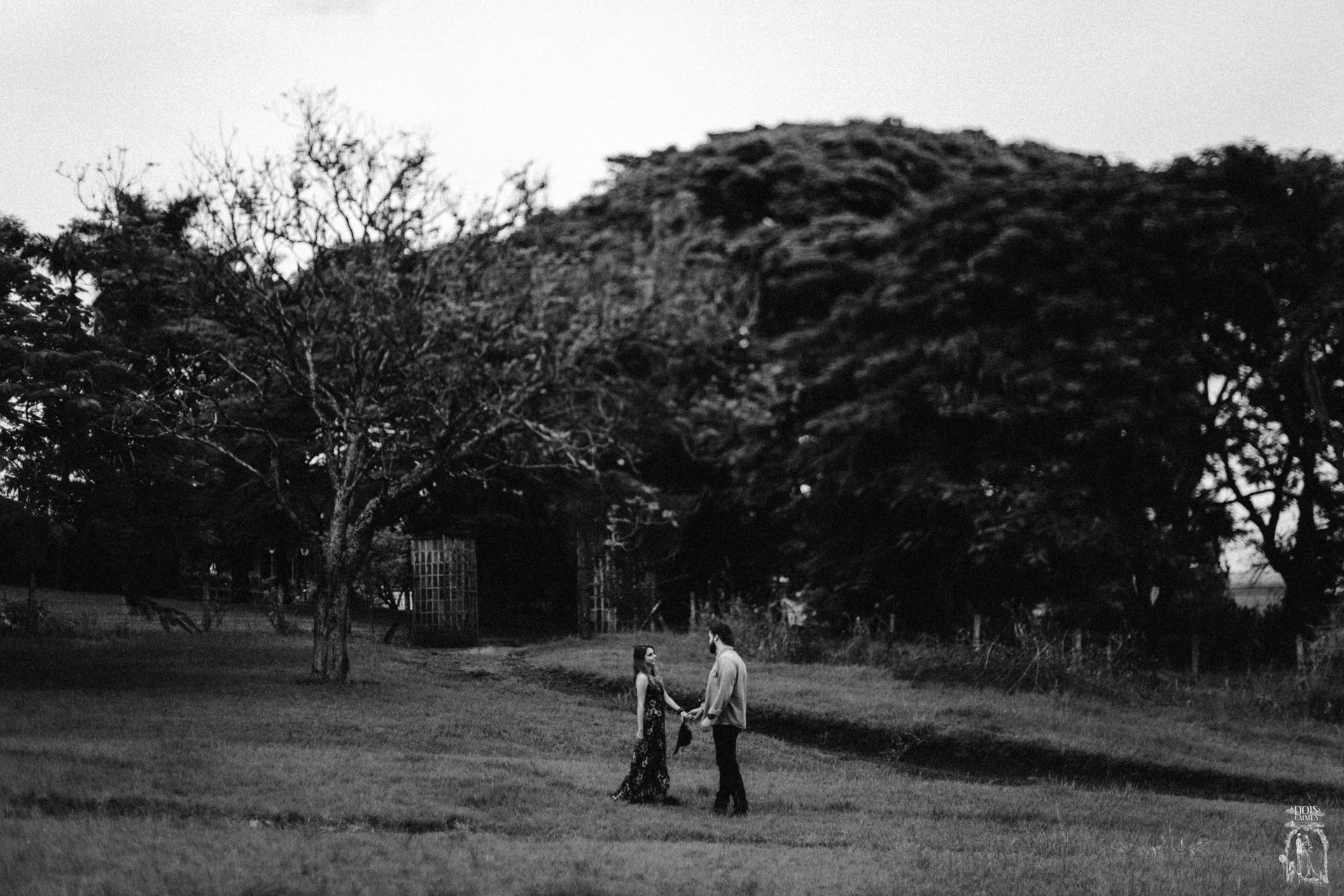 Foto Ensaio Pré Wedding na Fazenda Santa Mariana {Camila + Celso} Foto Ensaio Pré Wedding na Fazenda Santa Mariana {Camila + Celso} - Imagem 91