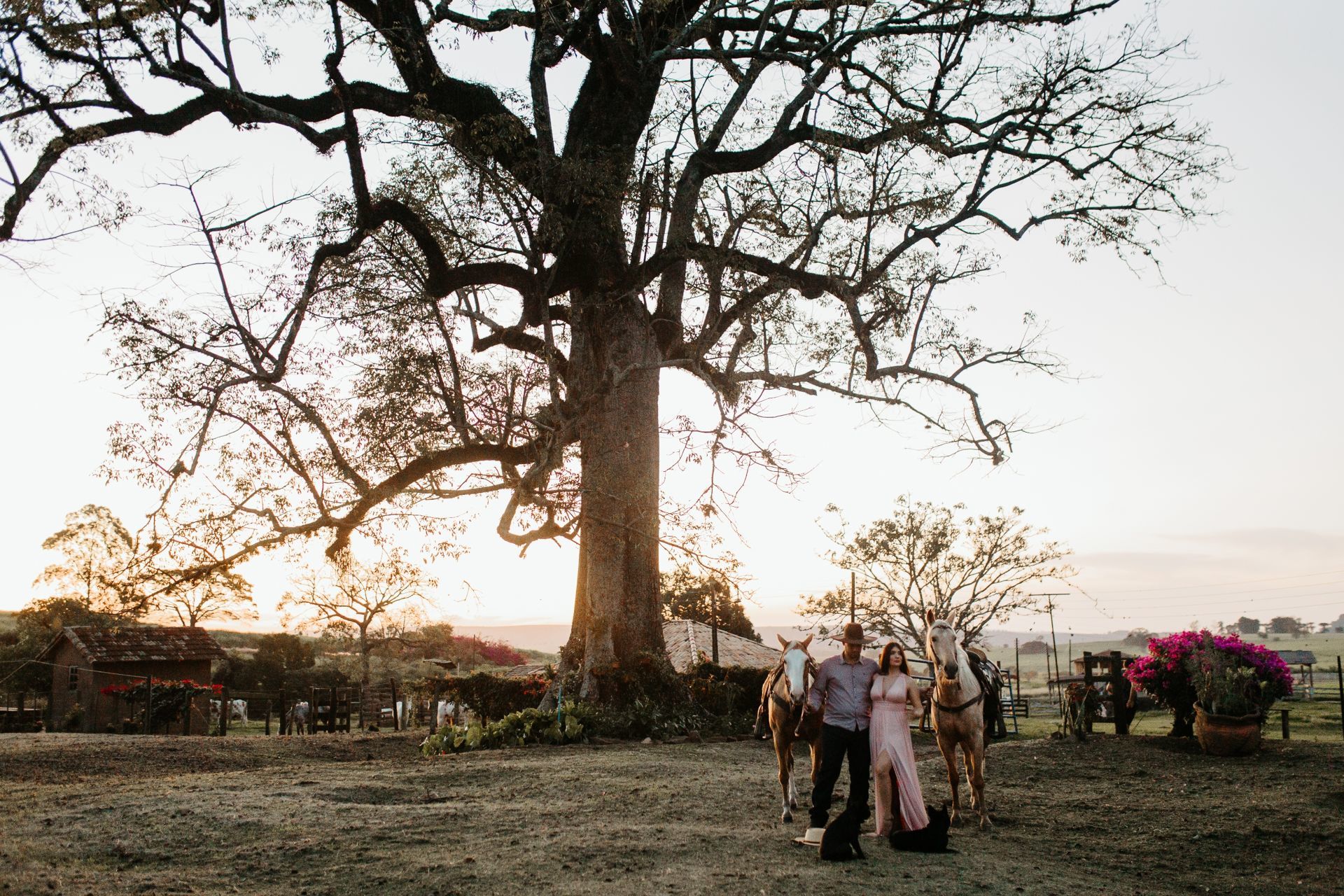 Foto Ensaio Pré Wedding na Fazenda {Fabiana + Yuri} - Analândia Foto Ensaio Pré Wedding na Fazenda {Fabiana + Yuri} - Analândia - Imagem 58