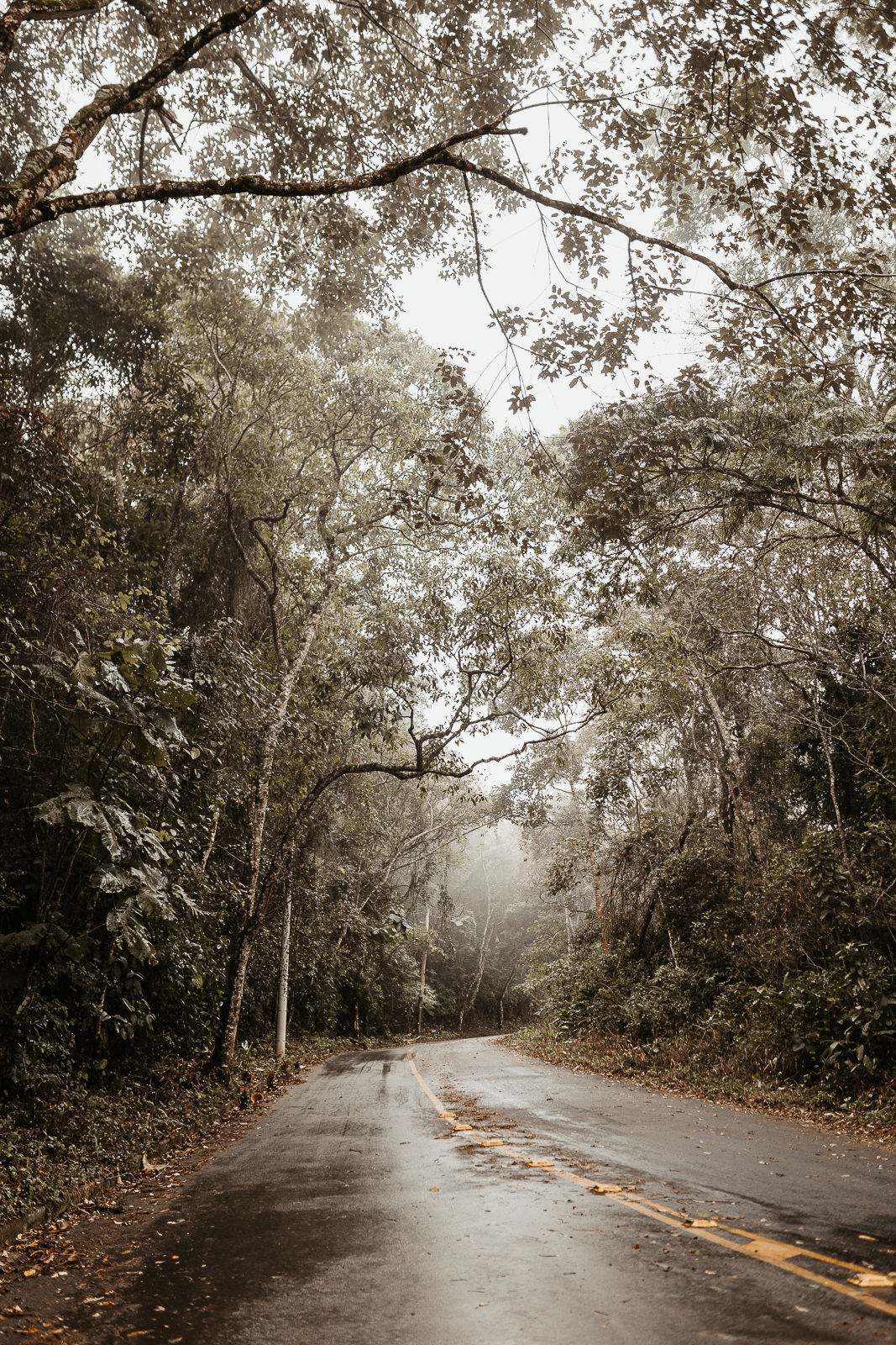 Foto Ensaio Pré Wedding no Pico do Olho d'Água {Gabi + Hélio} Foto Ensaio Pré Wedding no Pico do Olho d'Água {Gabi + Hélio} - Imagem 38