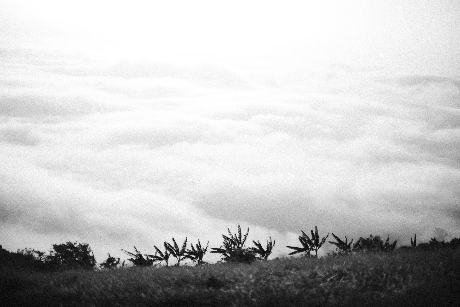 Foto Ensaio Pré Wedding - Amanhecer em Caconde {Elaine + Bruno} Foto Ensaio Pré Wedding - Amanhecer em Caconde {Elaine + Bruno} - Imagem 71