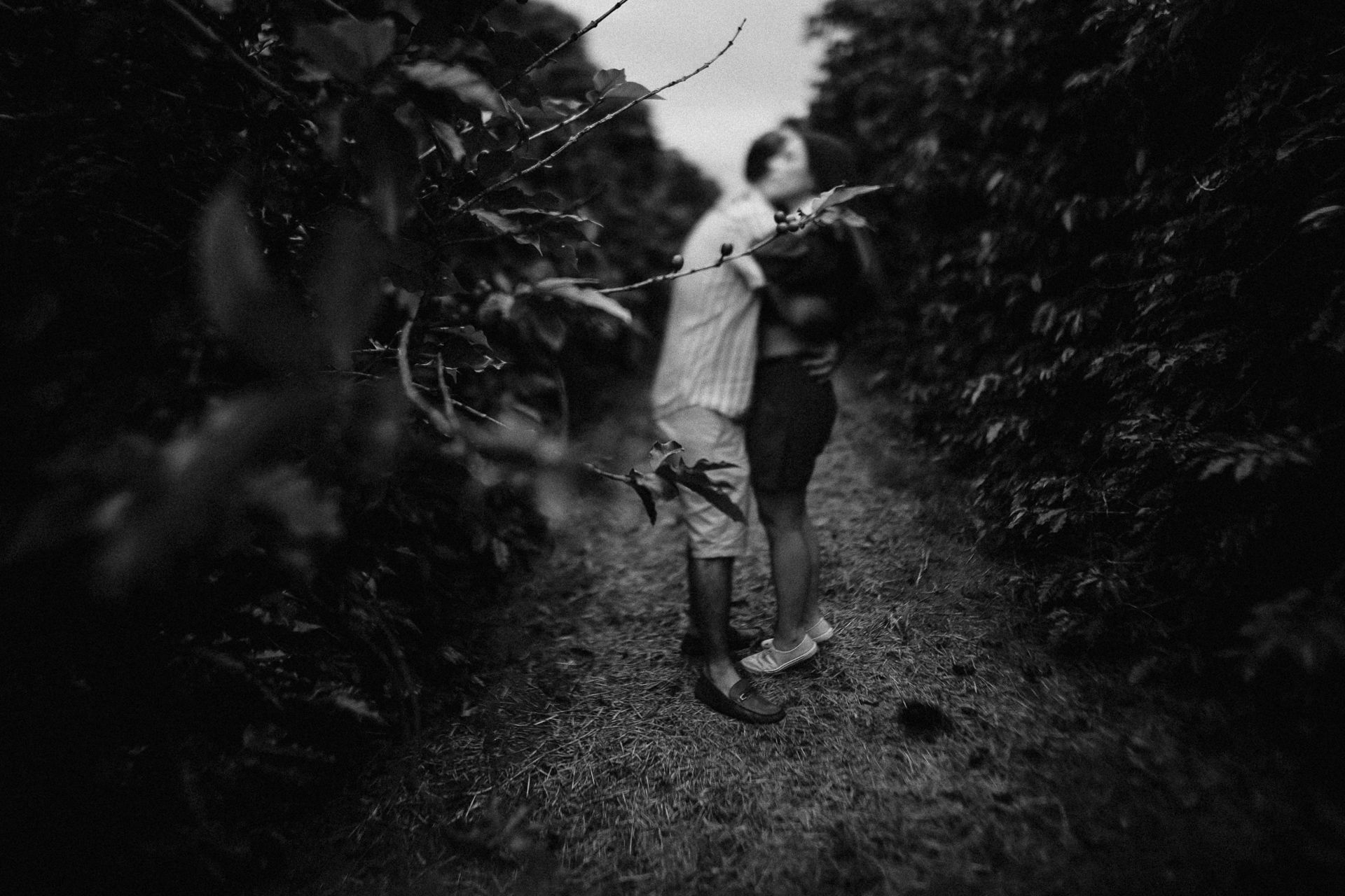 Foto Ensaio Pré Wedding na Casa de Vidro {Priscila + Renato} Foto Ensaio Pré Wedding na Casa de Vidro {Priscila + Renato} - Imagem 97